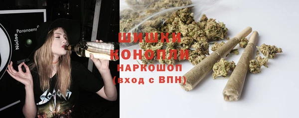 крисы Коряжма