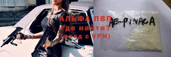 крисы Коряжма