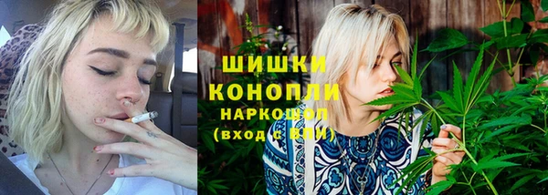 крисы Коряжма