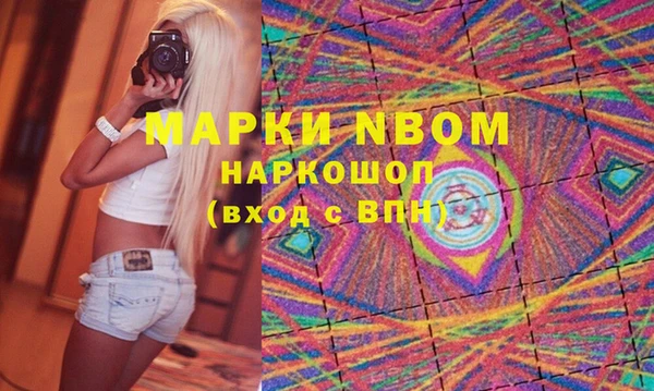 крисы Коряжма